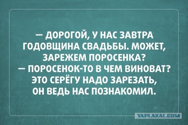 Подборка веселых картинок