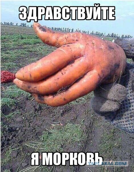 Немного картинок в пятницо.