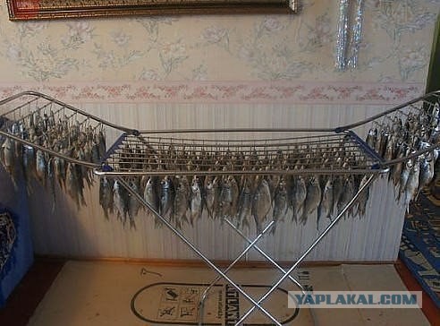 Пятница немного настроения