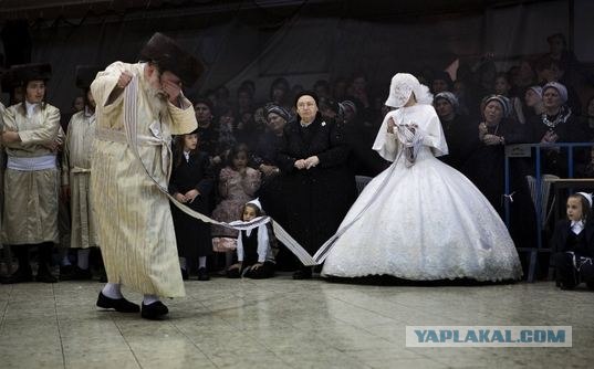 Кто с кем танцует на свадьбе хасидов