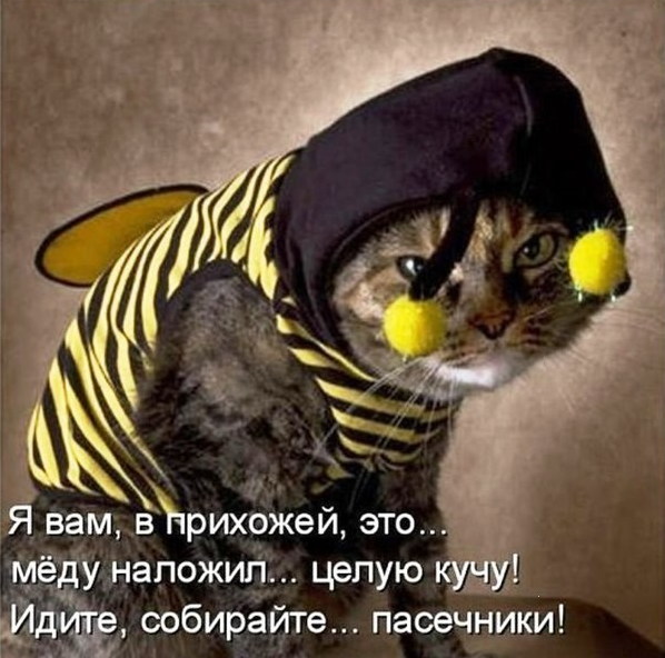 Забавные картинки из Сети