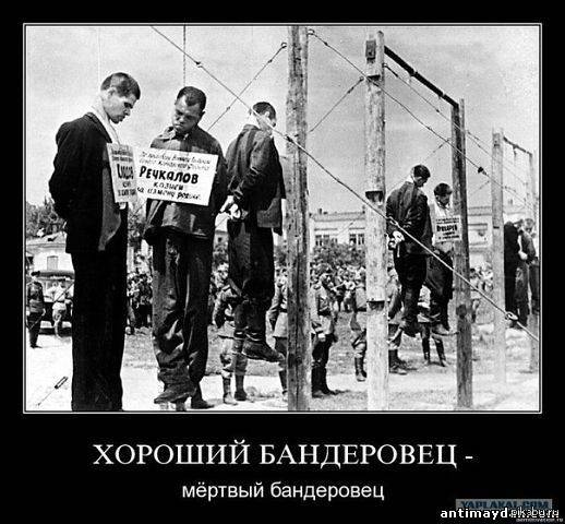 Айдаровцы устроили ночь террора