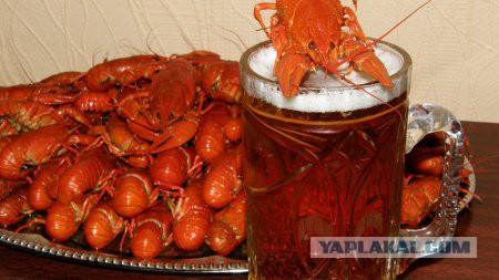 Если в джунглях закончиласть еда