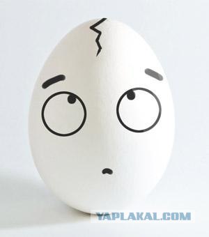 Утром из меня вышла черепаха