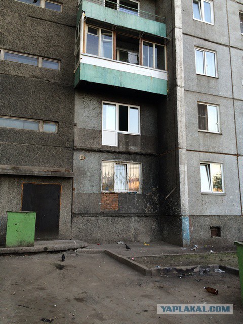Картинки