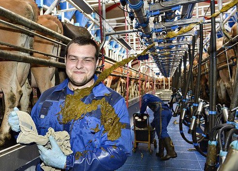 Картинки и демотиваторы