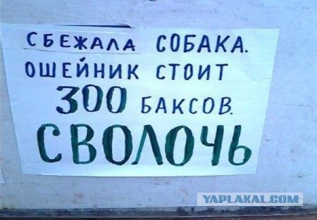 Картинки на утро вторника