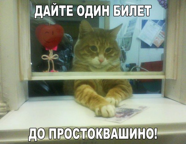 Картинки на утро вторника
