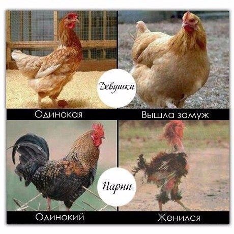 Ужасы и приколы из соцсетей 18+