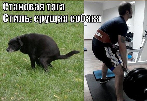 Не всем стоит заниматься пауэрлифтингом