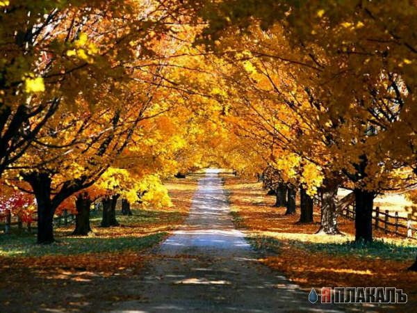 ПРИРОДА. Красивые пейзажи, города, небо и т.п.