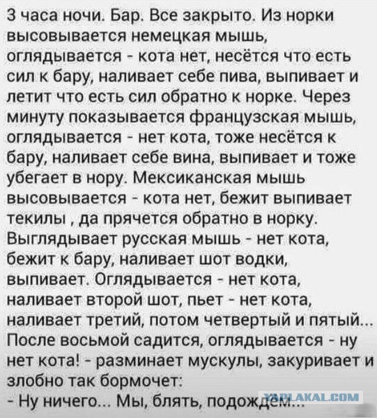 Весёлые картинки
