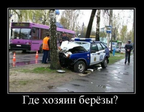 Картинки всякие