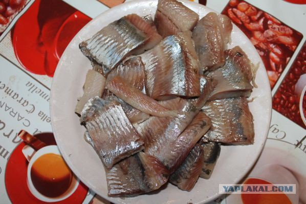 Посиделки под селёдку