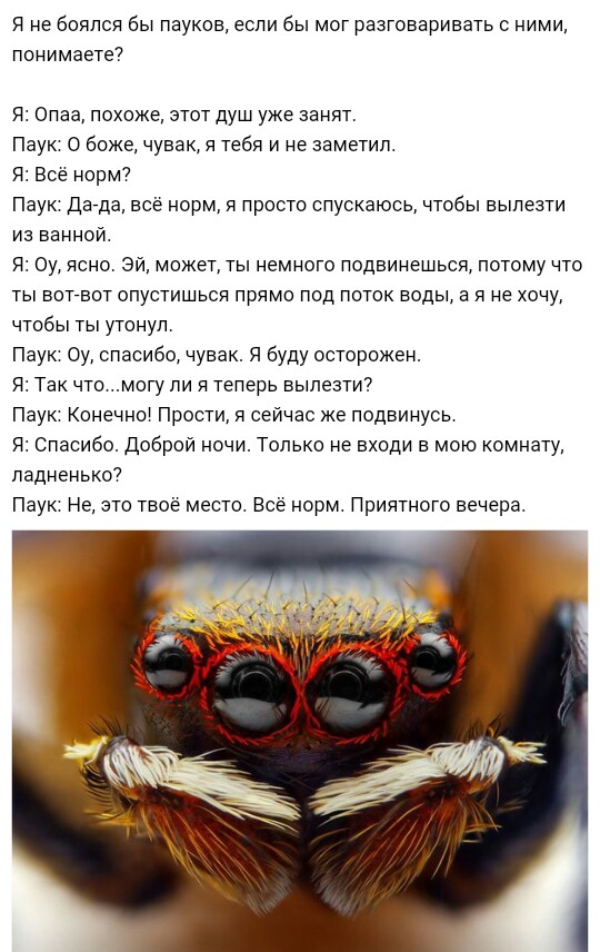 Сборище абсурда