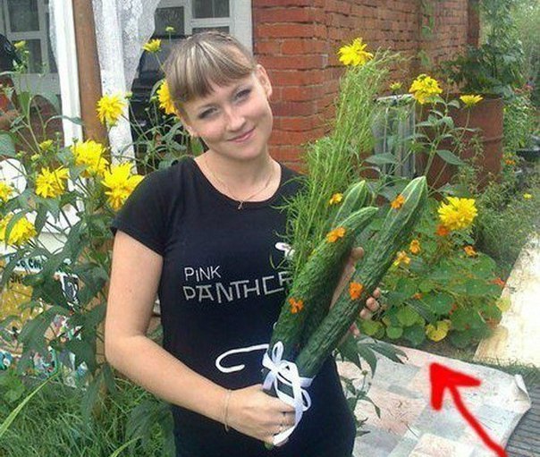 Ужасы и приколы из соцсетей 18+