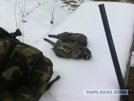 Нервный представитель ГБУ "Жилищник"