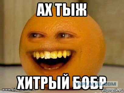 Подрастает новое поколение Яповцев!