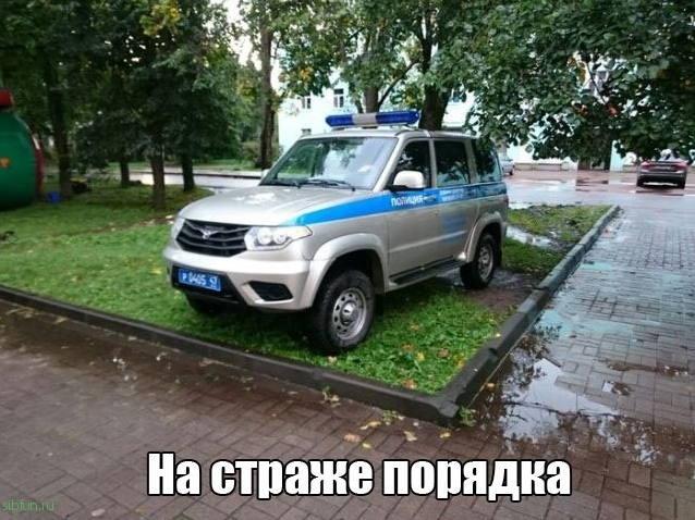 Подборка интересных и веселых картинок
