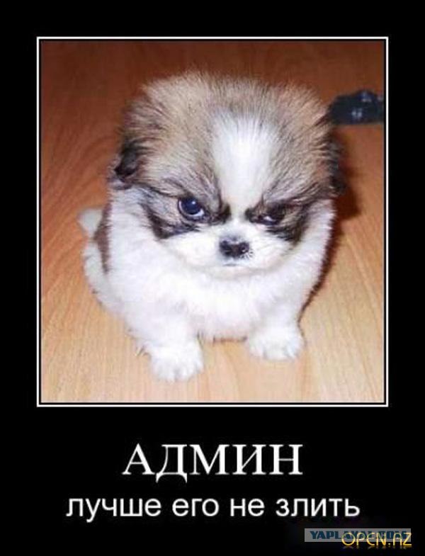 Админы vs бухгалтеры