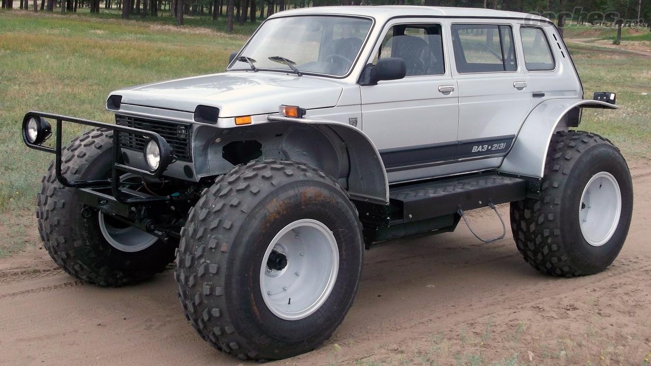 Необычные цвета нивы