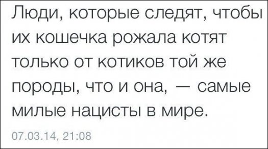 Товарищ! Придя на работу не ахай! А просто картинки смотри