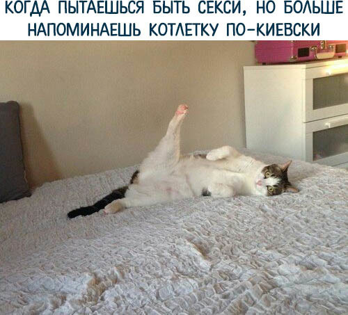Немного картинок на вечер