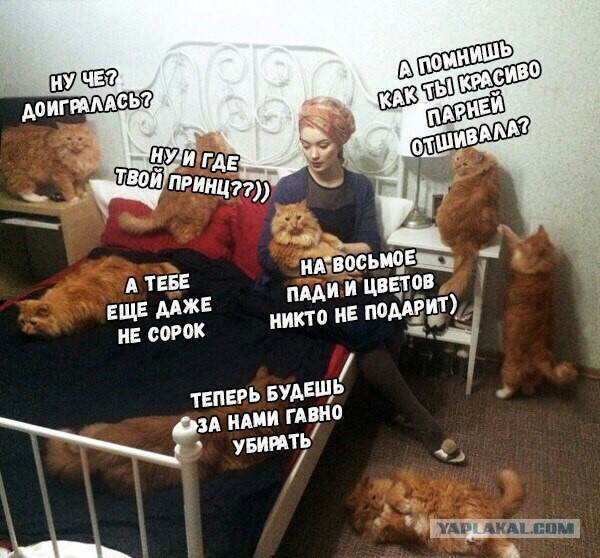 Счастье быть холостяком