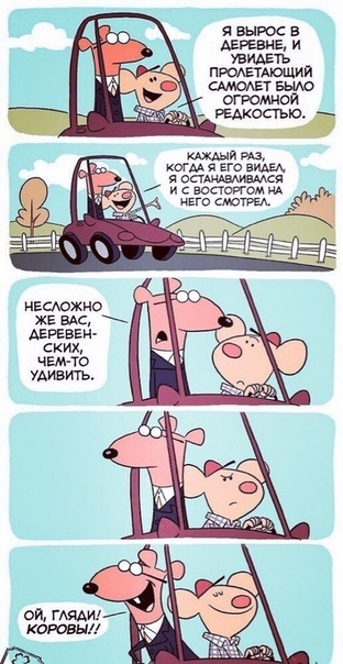 Немного картинок для настроения 24.10.19