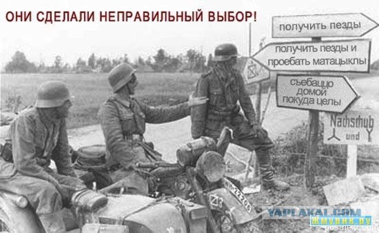 Уличные указатели, бессмысленные и беспощадные