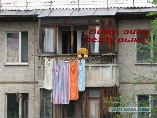 Конкурс: подпись к картинке