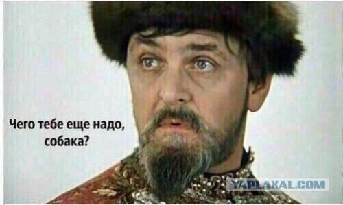 Решили мы покушать заказать