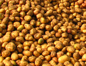 Кулинария: Картофельная Кожура (С ДР Ати!)