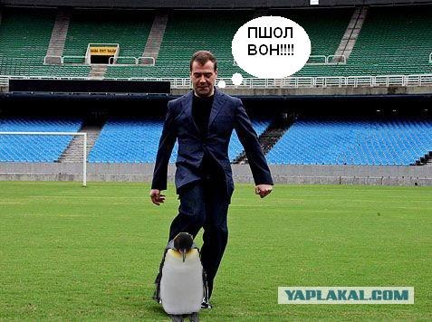 Фотожаба: Медведев футболист