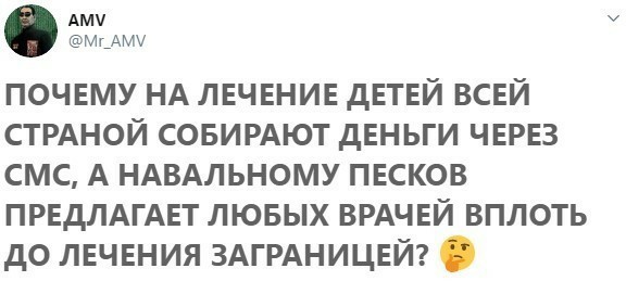 Как встречают Навального в Германии!