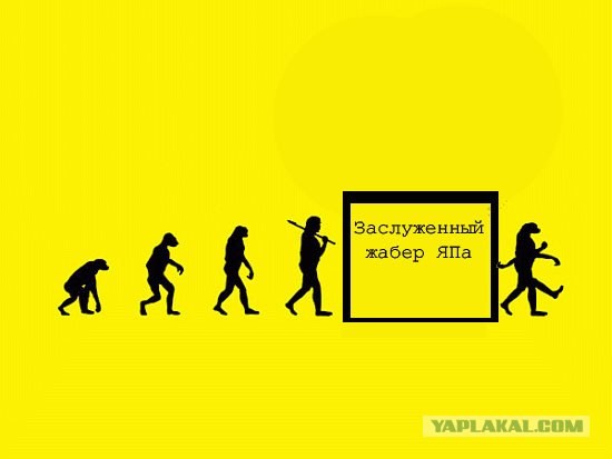 Эволюция