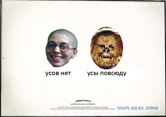 Усы творят чудеса!