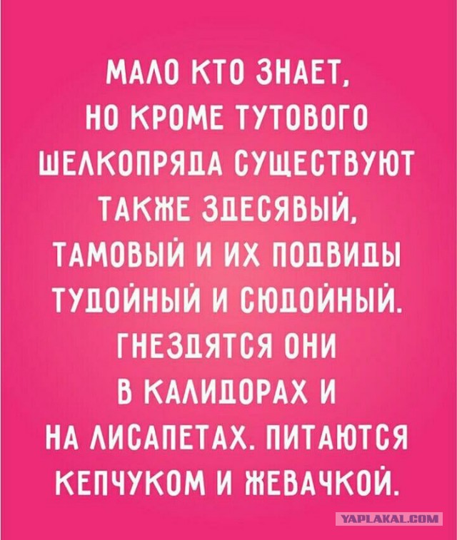 Картинки 24 шт. (вроде)