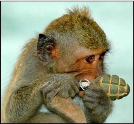 Блондинка решила запарковаться