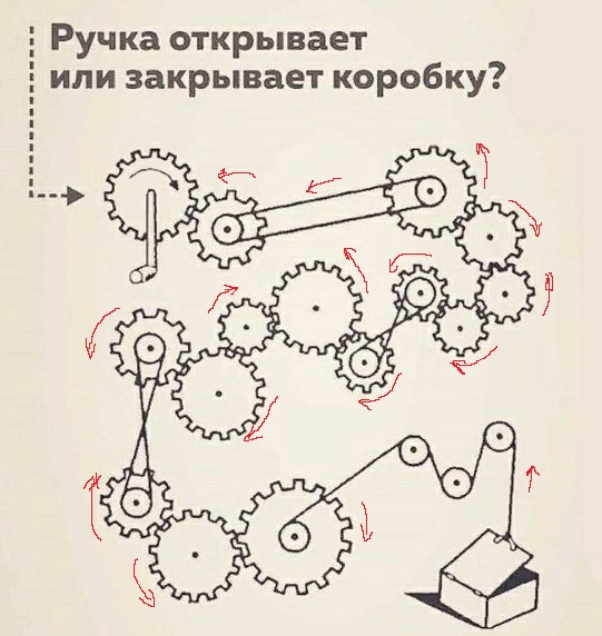 18 увлекательных фактов обо всём, которые приятно помассируют ваш мозг новыми знаниями