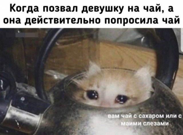 Баянисто-небаянистый юмор 15.05.21
