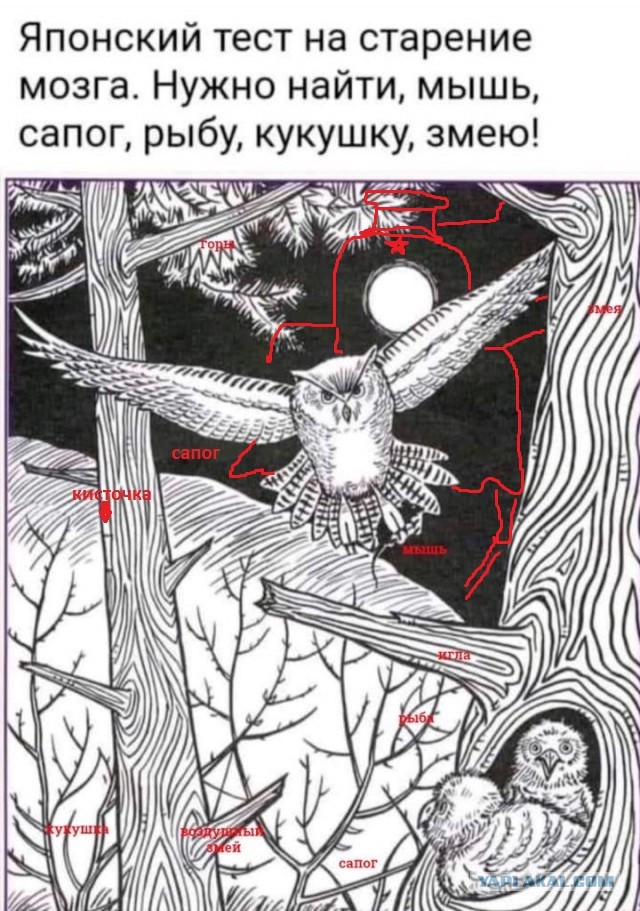 Бредзона 10.10.2021