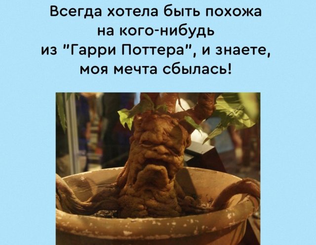 Есть два типа девушек и другие картинки 20.12.21