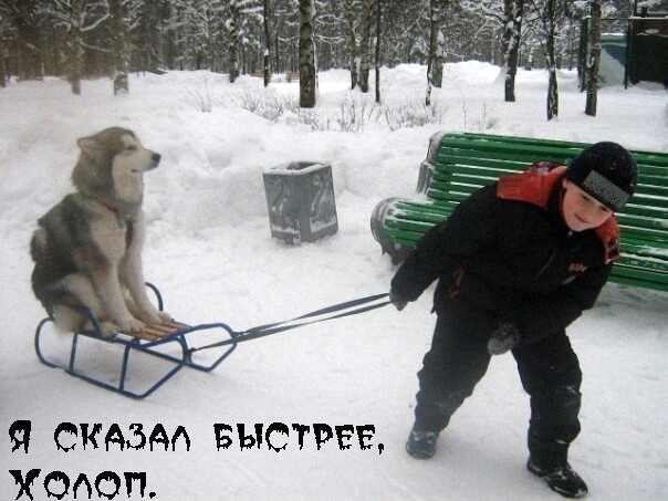 Так себе картинки 03.02.22