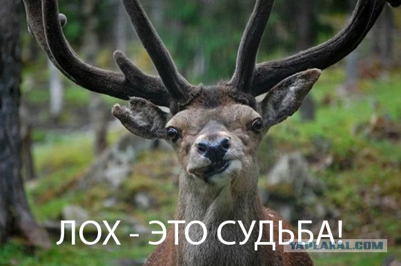 Чудеса науки