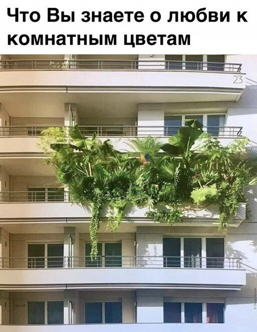 Прикольные и просто красивые картинки 22.06.2022