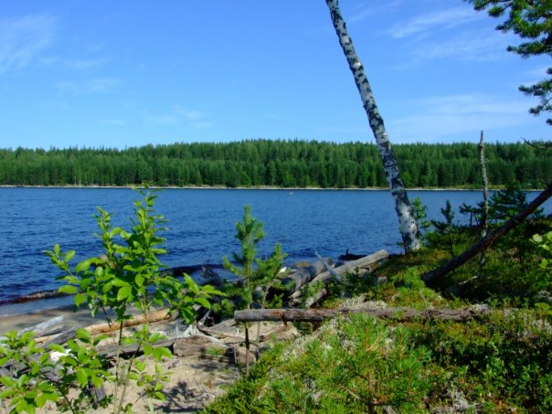 Прошлым летом в Карелии
