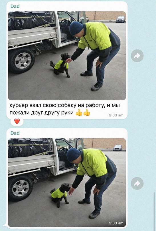 Картинки и мемы для настроения - 11