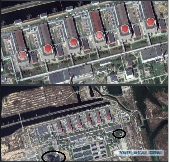 Минобороны РФ заявило о готовящемся Киевом 19 августа ударе по Запорожской АЭС