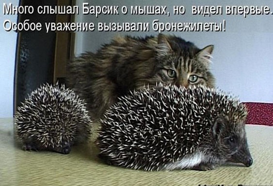 Так себе картинки 28.01.23